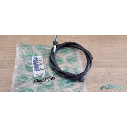 Cable de compteur Benelli