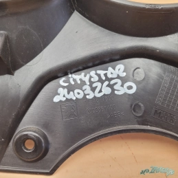 Entourage compteur Peugeot Citystar 50 125