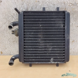 Radiateur Aprilia Leonardo 125 150   De 1996 à 2003