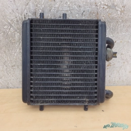 Radiateur Aprilia Leonardo 125 150   De 1996 à 2003