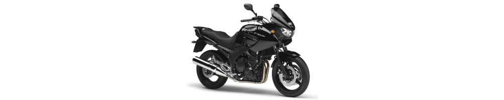 Yamaha - TDM 900 - Moto
