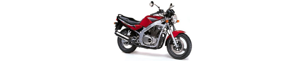 Suzuki - GSE 500 - Moto