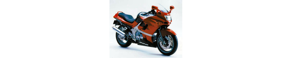 Kawasaki - ZZR 600 - Moto