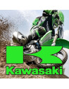 Kawasaki