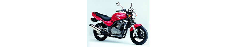 Kawasaki - ER 5 - Moto