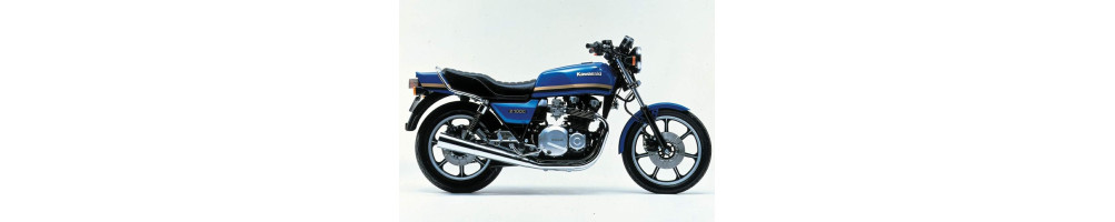 Kawasaki - 1000 Z - Moto