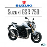 GSR 750