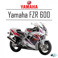 FZR 600