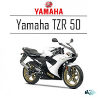 Catégorie TZR 50 - Moto2pieces95 : Compteur Yamaha TZR 50 , Câble compteur Yamaha , Paire jante Rayon 50 mécaboite AM6 Derbi ...