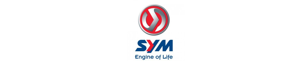 Catégorie SYM - Moto2pieces95 : Réservoir Sym XS 125