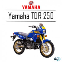 TDR 250