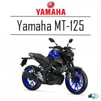 Catégorie MT 125 - Moto2pieces95 : Plastique Yamaha MT 125 , Relai centrale clignotante multimarque , Relai centrale clignota...