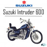 Intruder 600