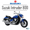 Intruder 800