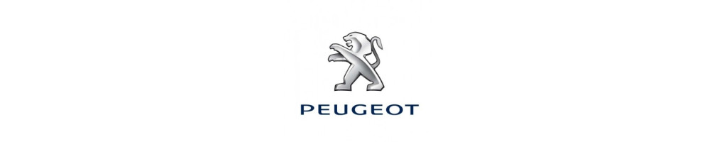 Peugeot - Moto