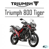800 Tiger