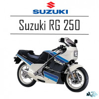 RG 250