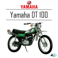 DT 100