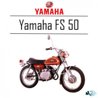 FS 50