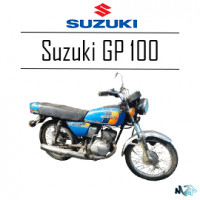 GP 100