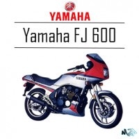 FJ 600