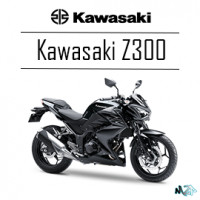 Z300