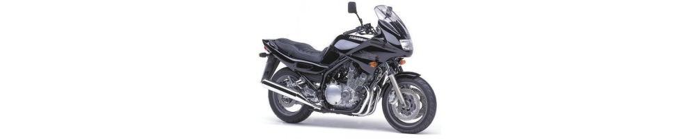 Yamaha - Diversion 600/900 - Moto