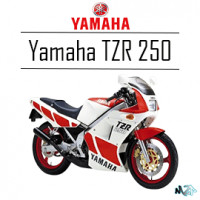 TZR 250